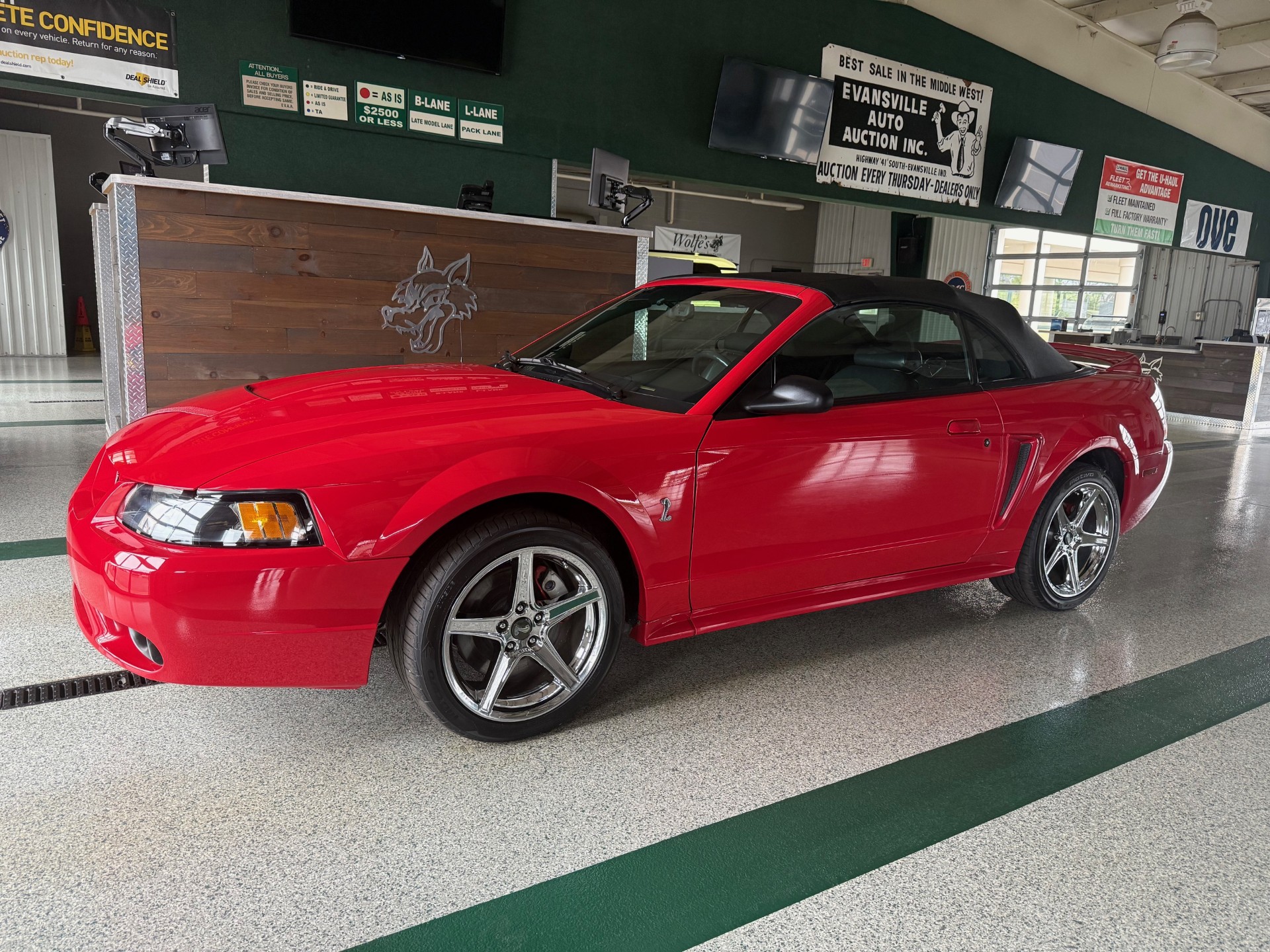 1999 Ford Mustang GT SVT Cobra Convertible