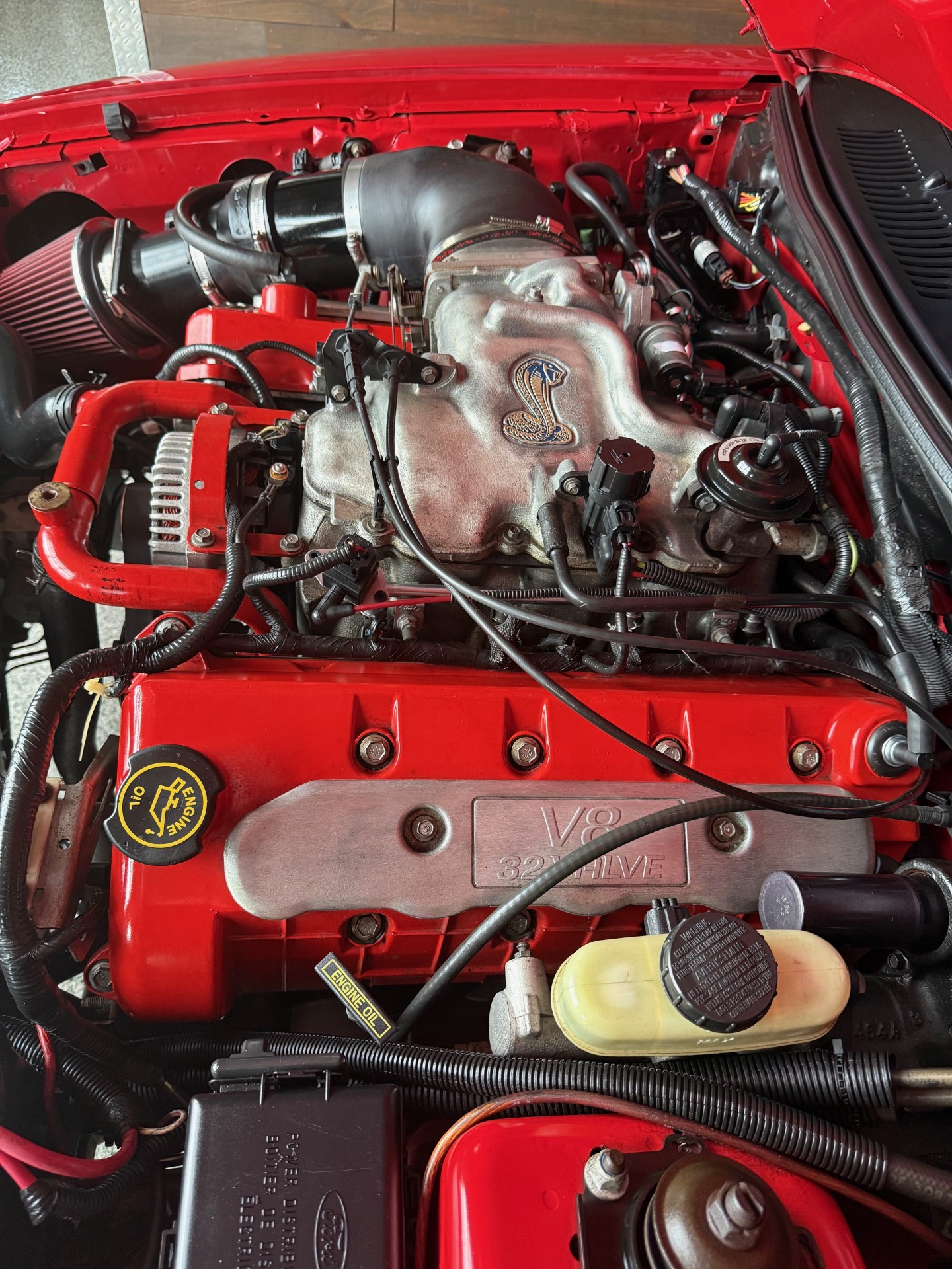 1999 Ford Mustang GT SVT Cobra Convertible