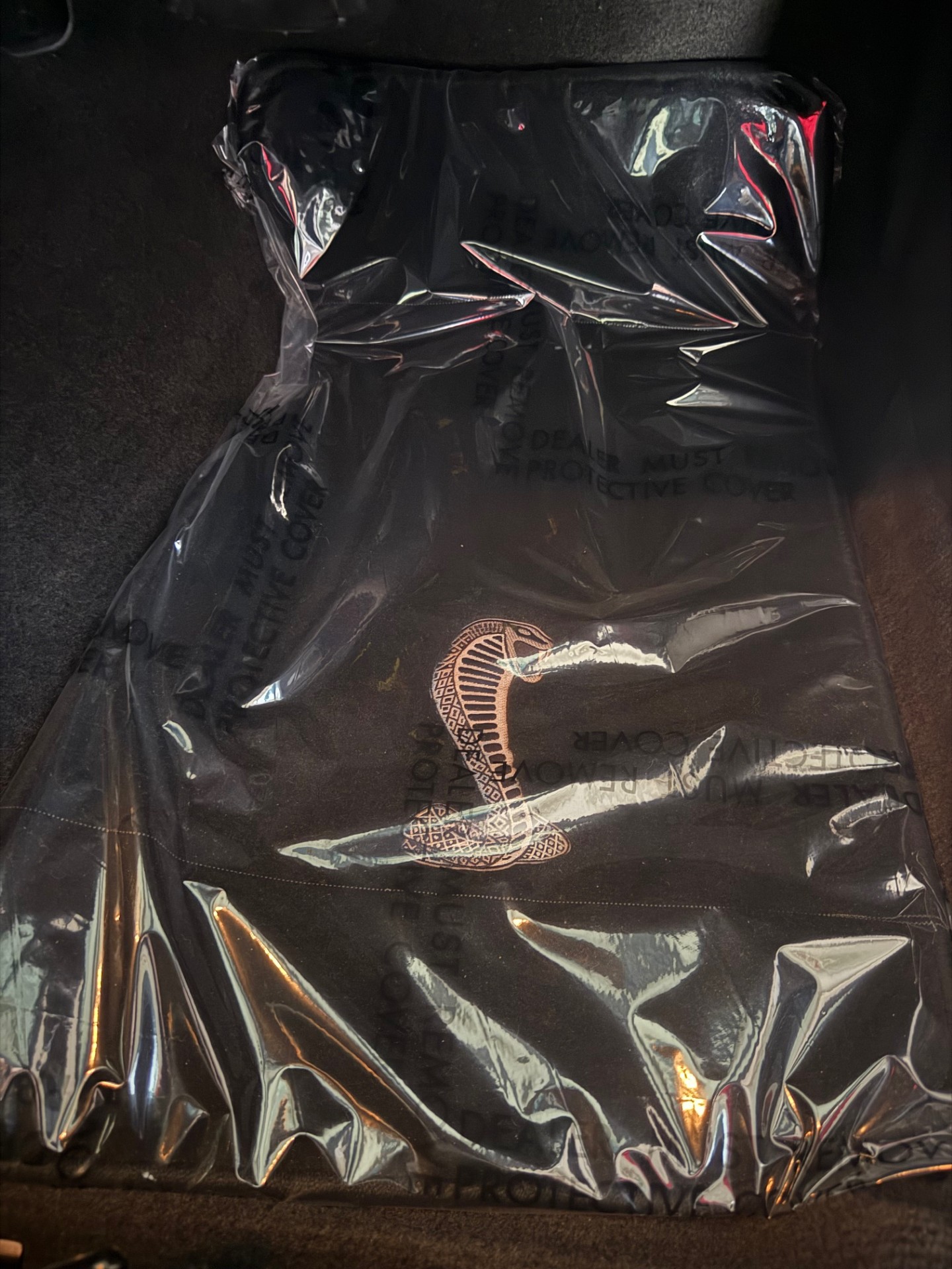 1999 Ford Mustang GT SVT Cobra Convertible