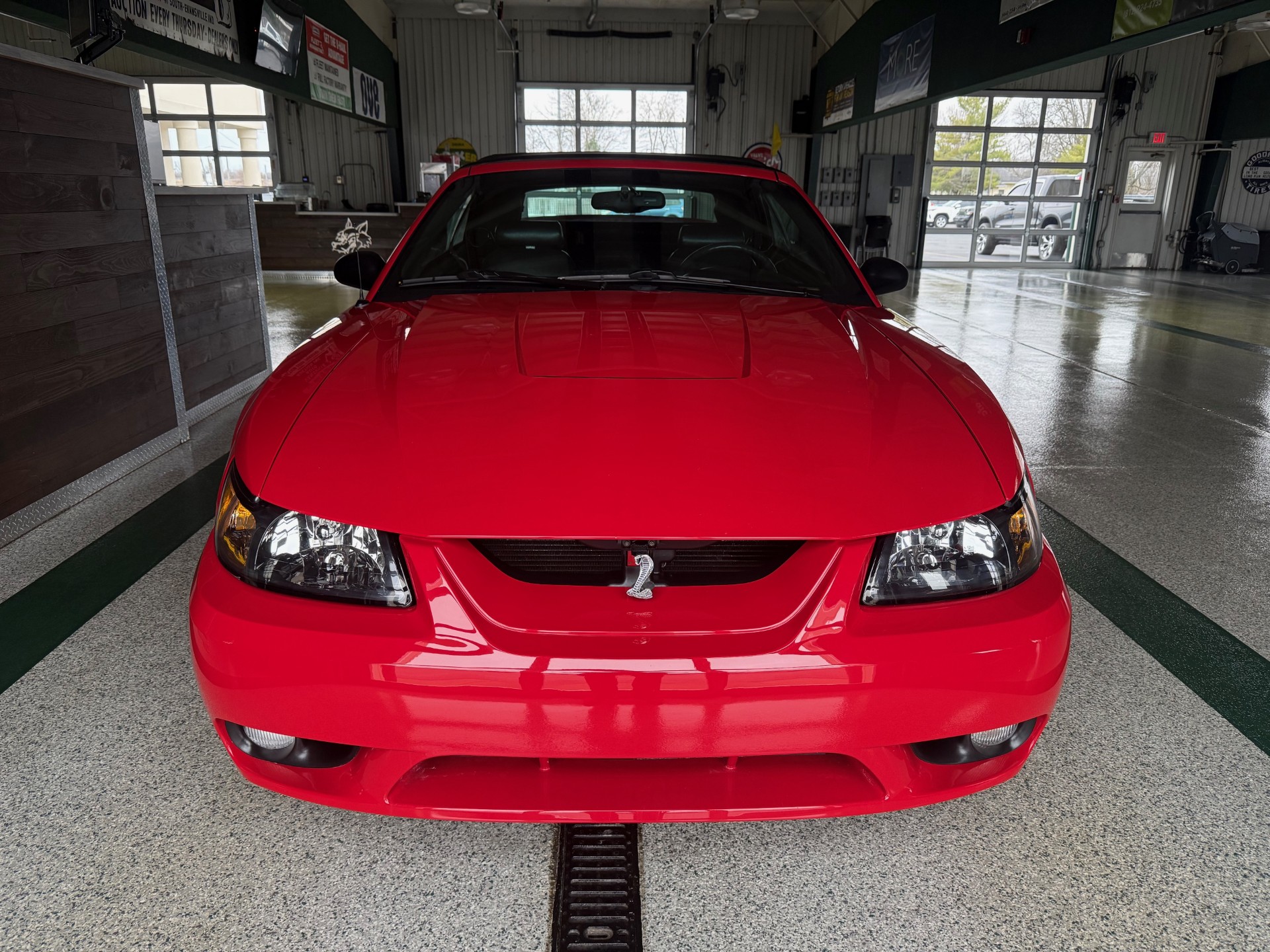 1999 Ford Mustang GT SVT Cobra Convertible