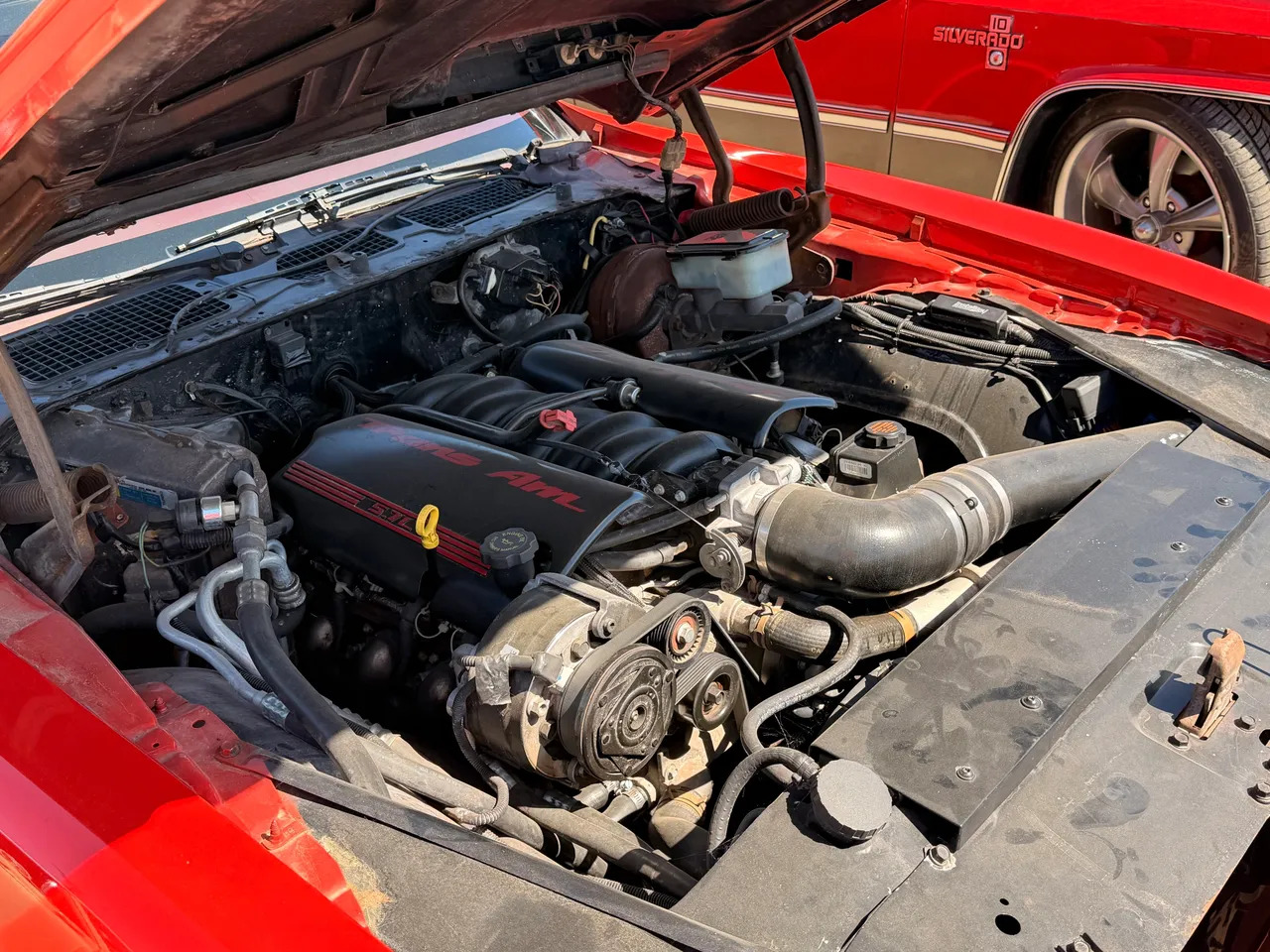 1981 Pontiac Trans Am