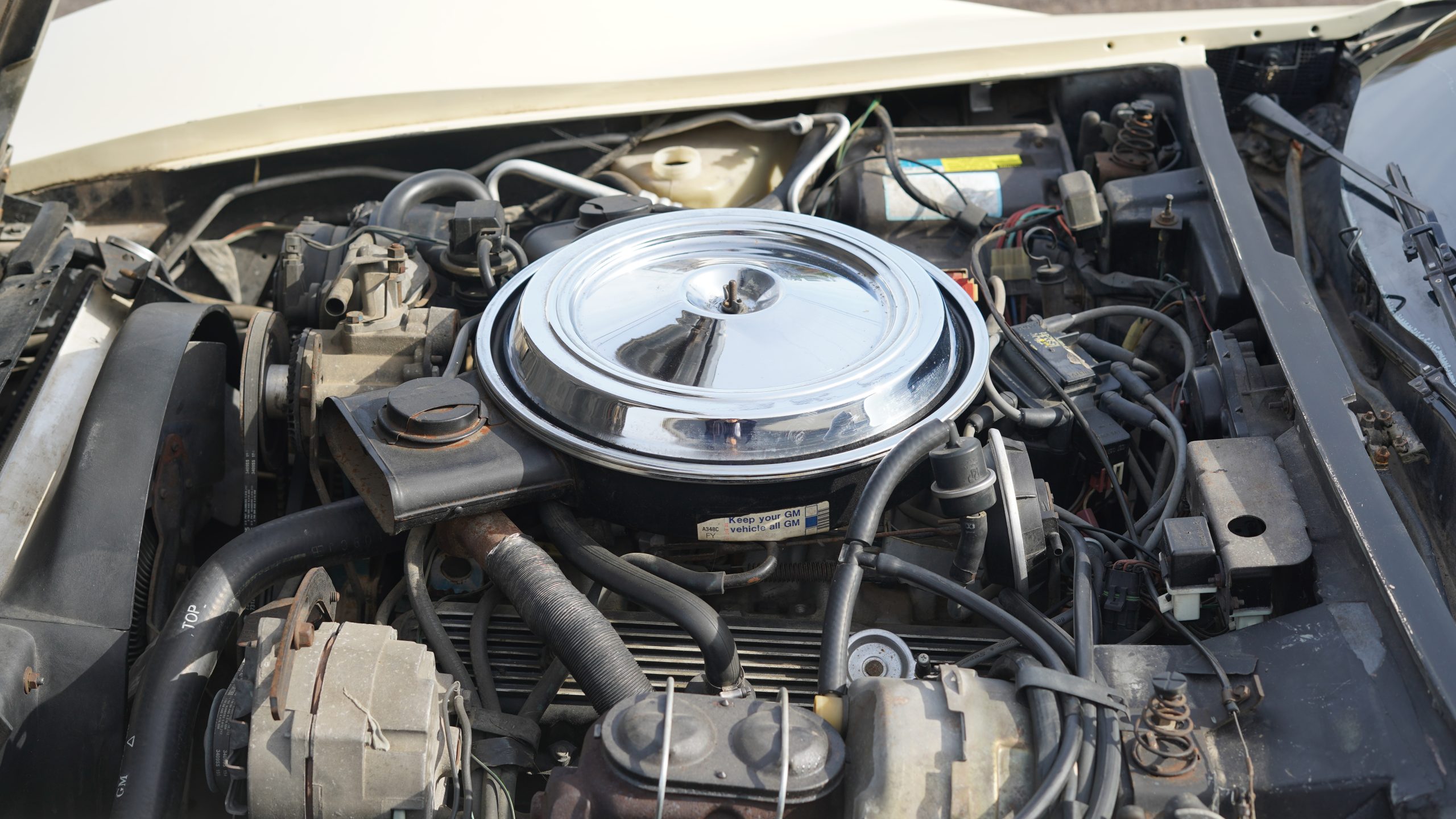 1981 Chevrolet Corvette