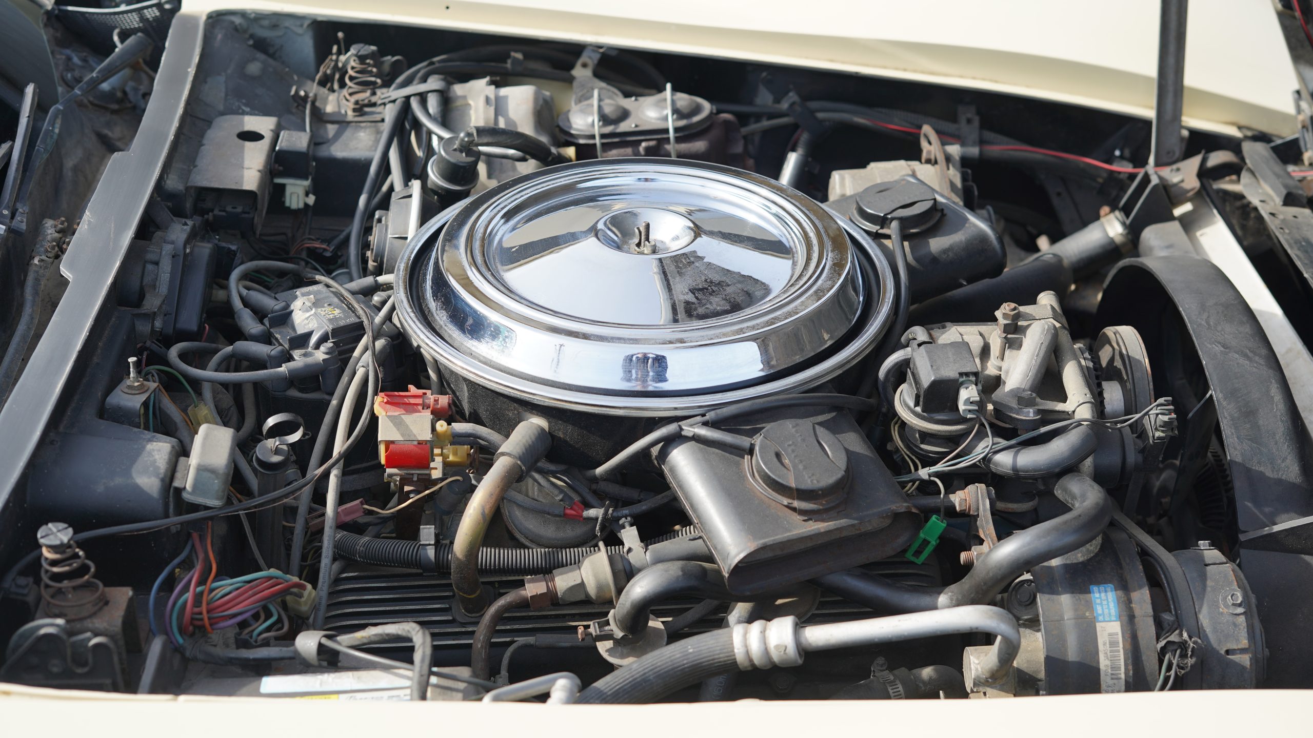 1981 Chevrolet Corvette