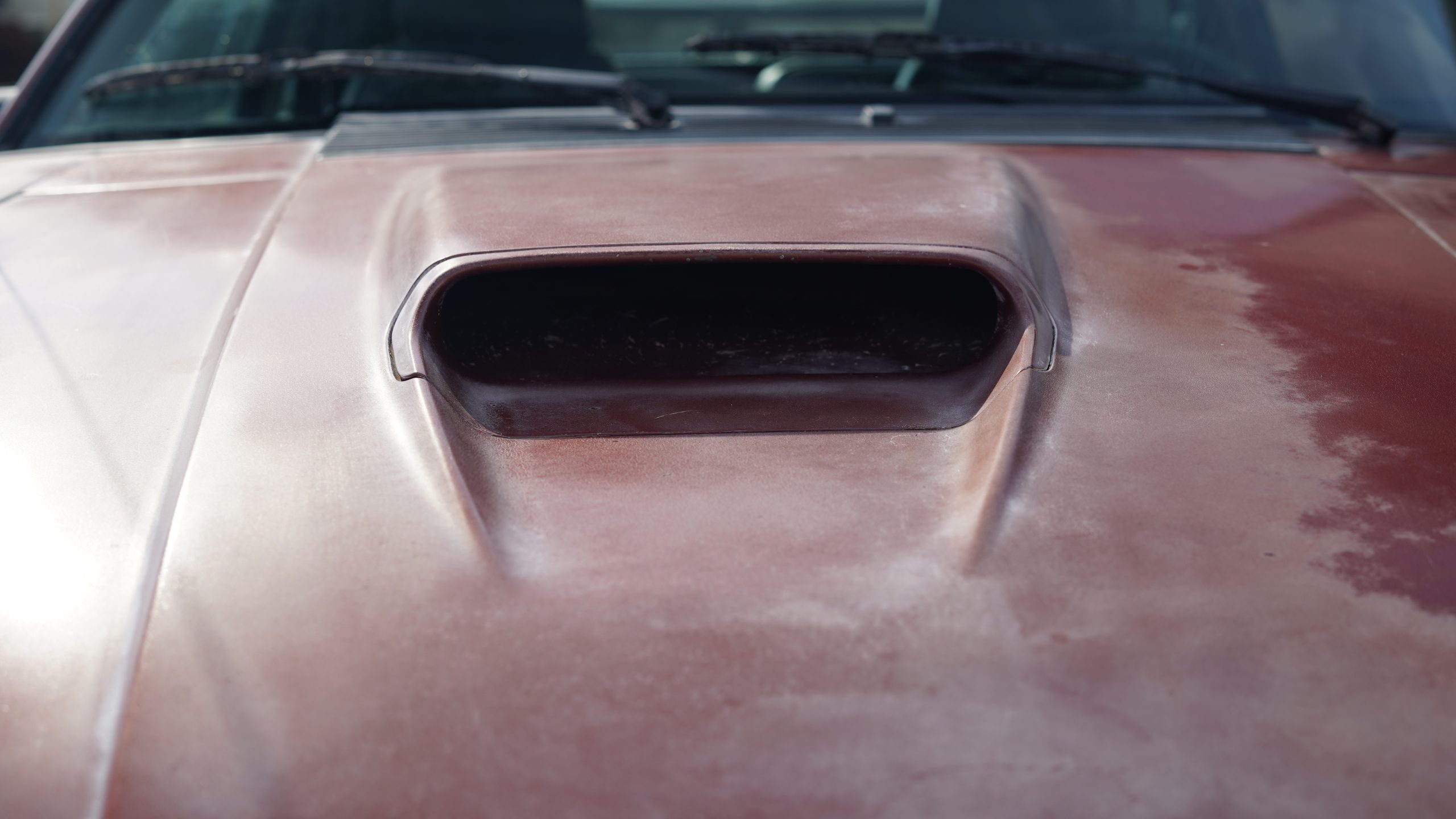 1984 Ford Mustang SVO