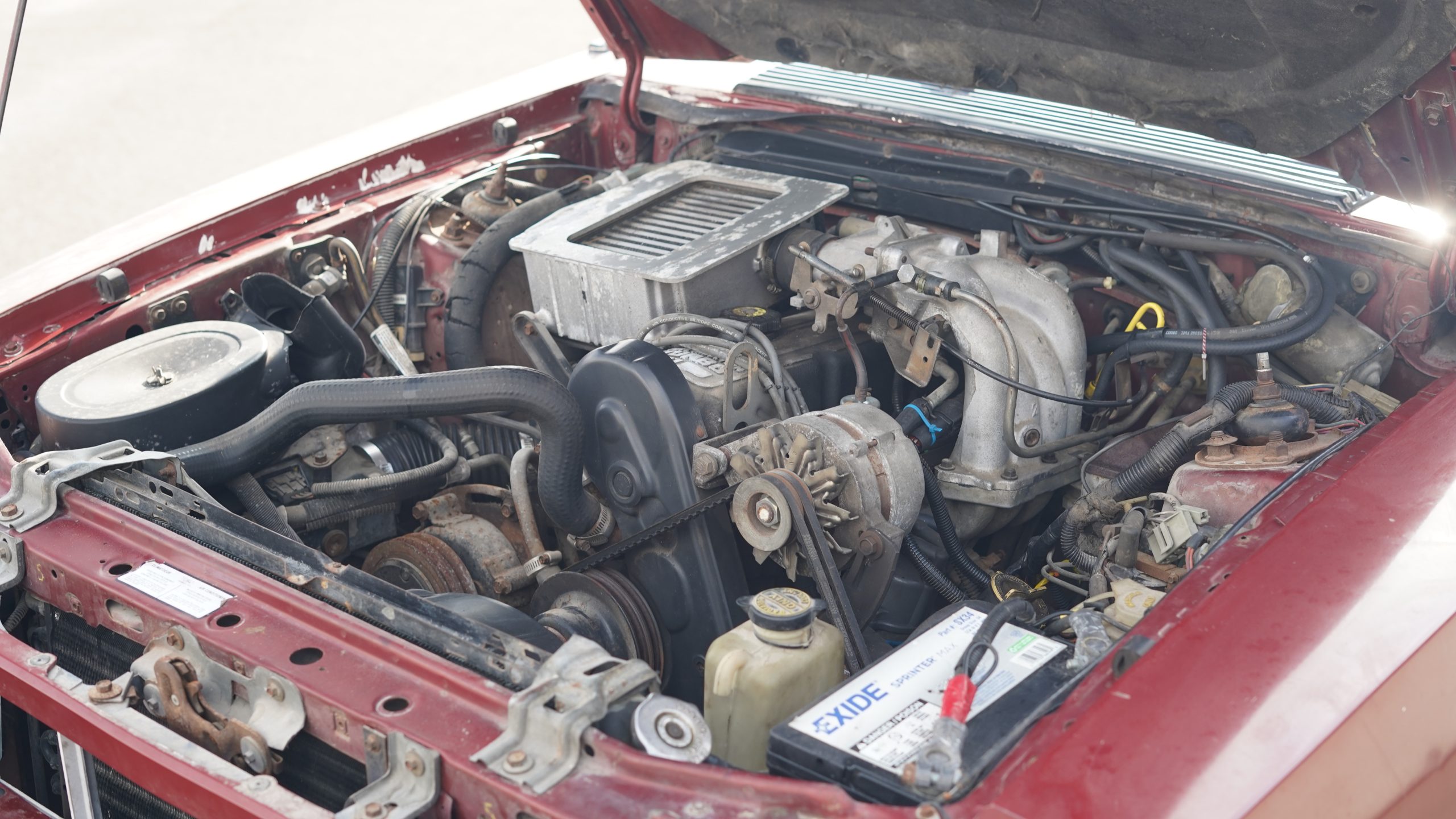 1984 Ford Mustang SVO