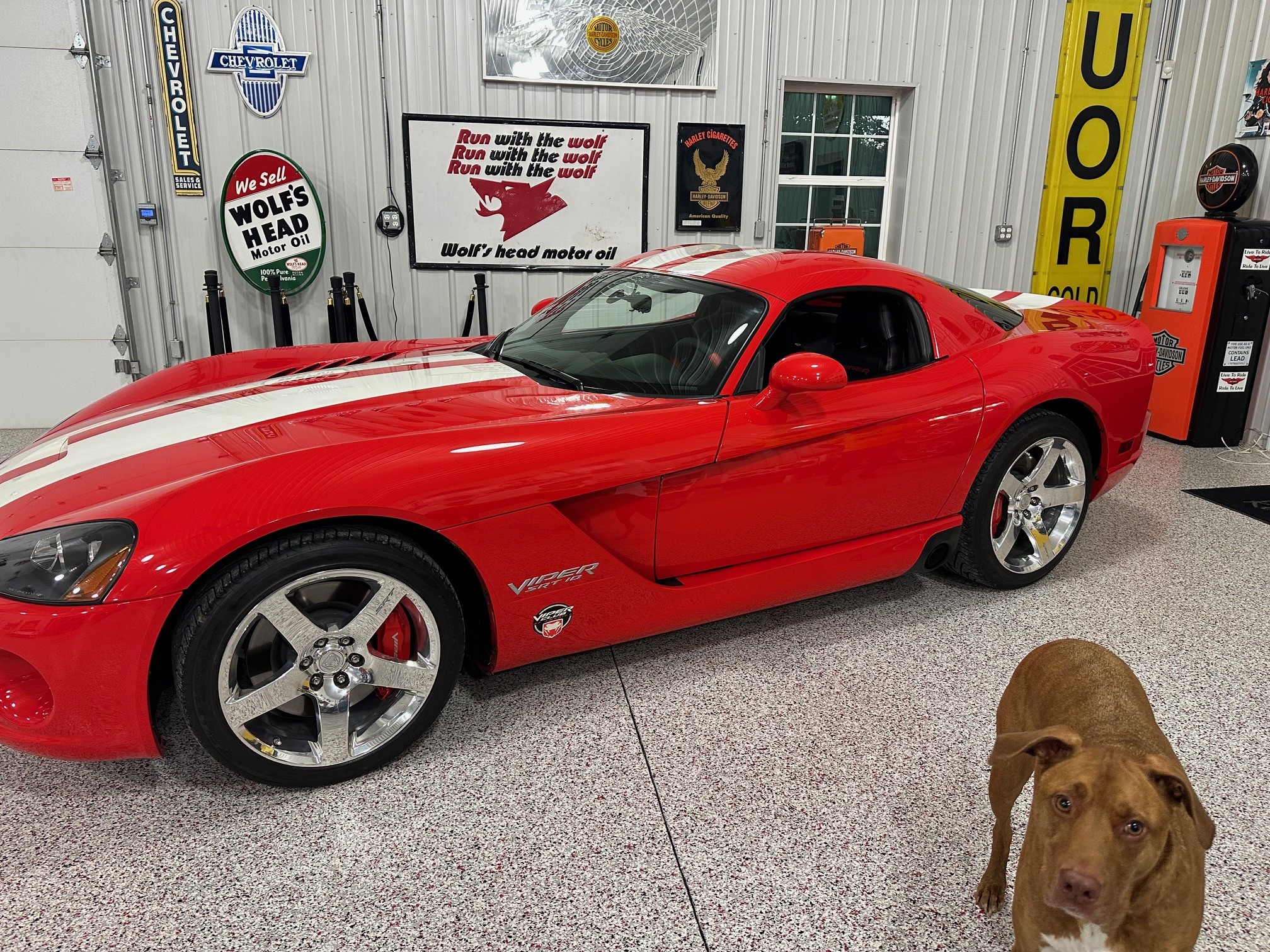 2006 Dodge Viper SRT-10 VCA Special Edition