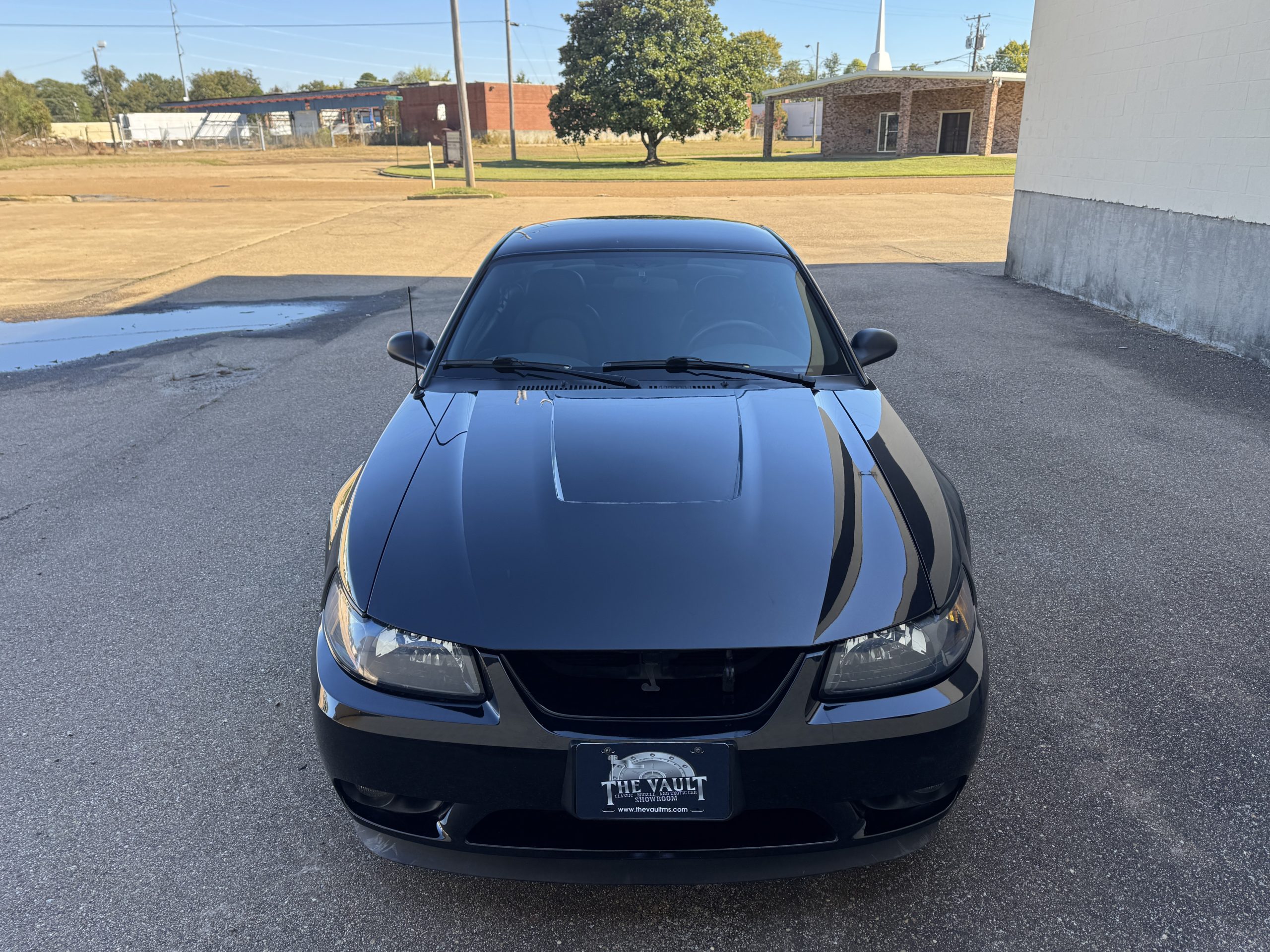 2001 Ford Mustang SVT Cobra