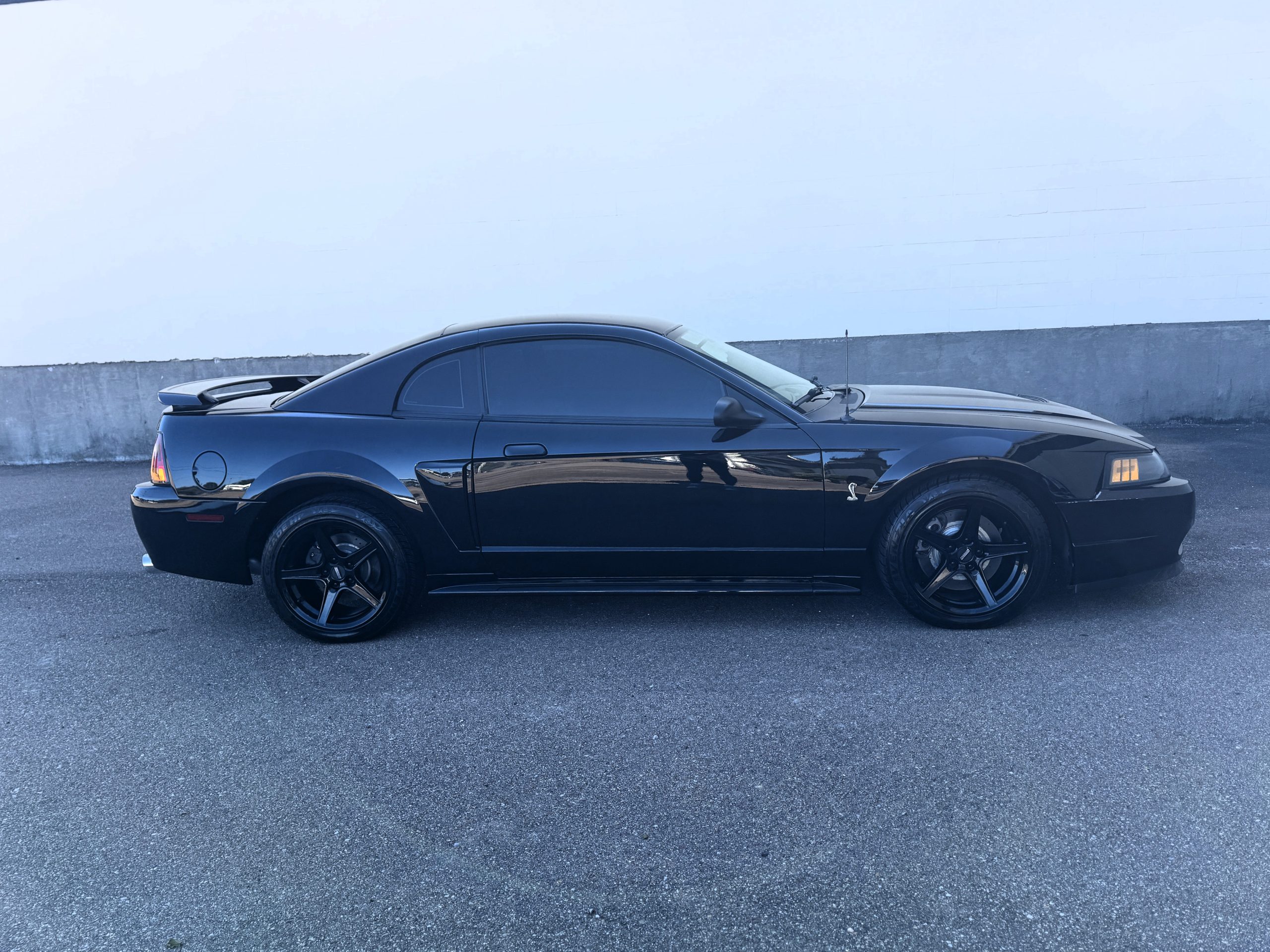 2001 Ford Mustang SVT Cobra