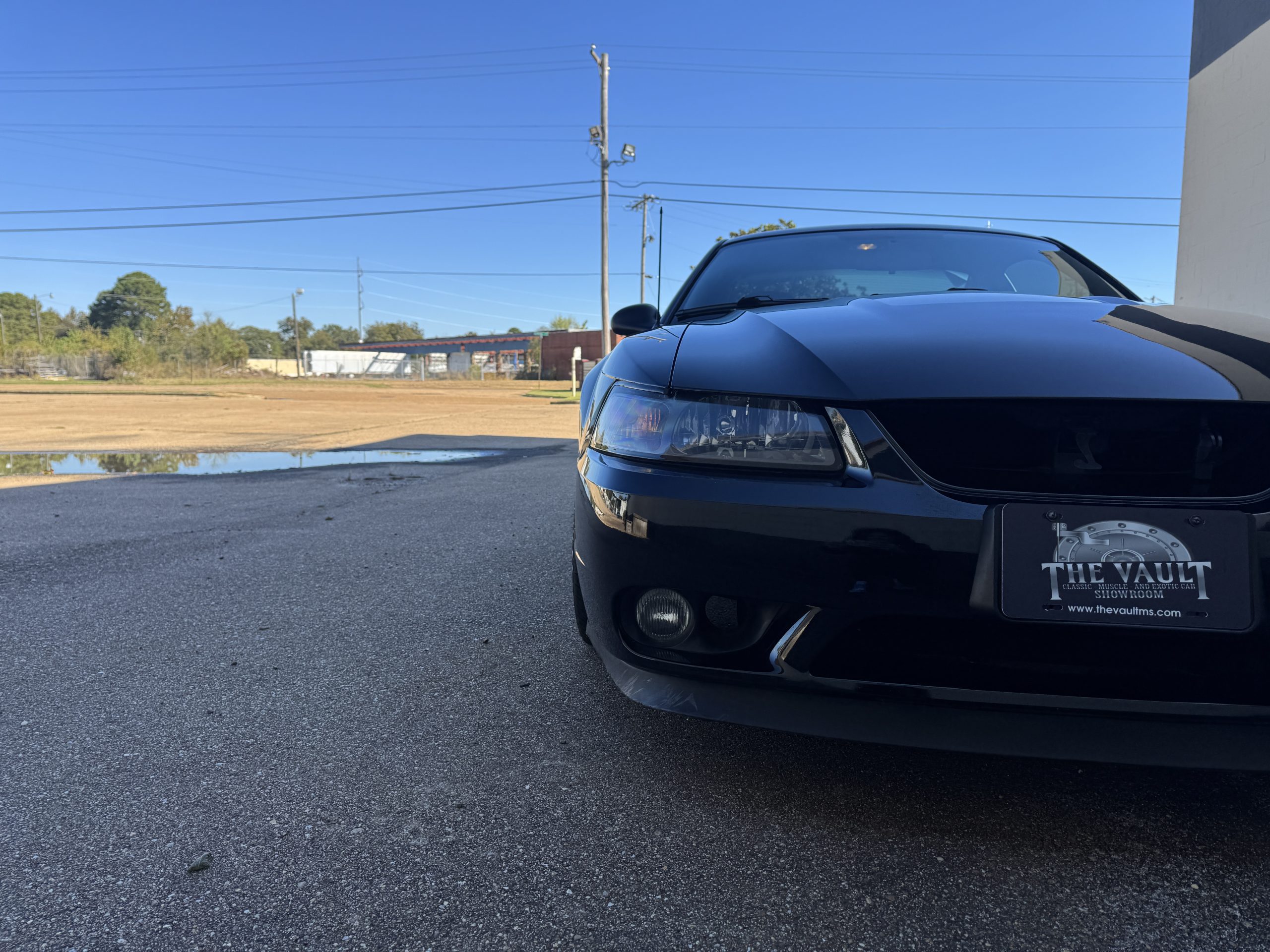 2001 Ford Mustang SVT Cobra