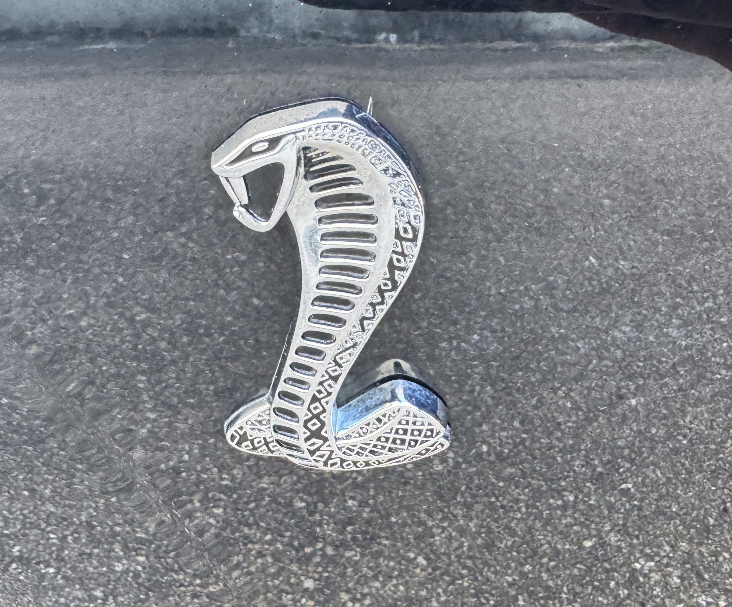 2001 Ford Mustang SVT Cobra