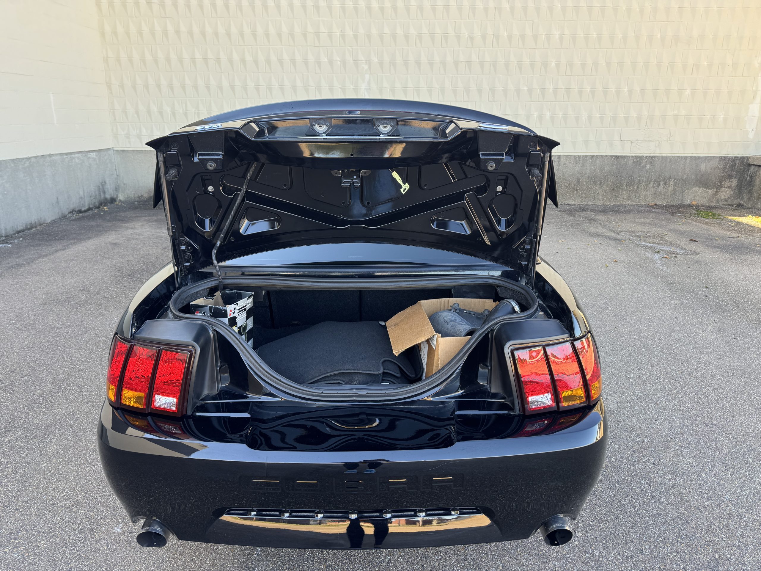 2001 Ford Mustang SVT Cobra