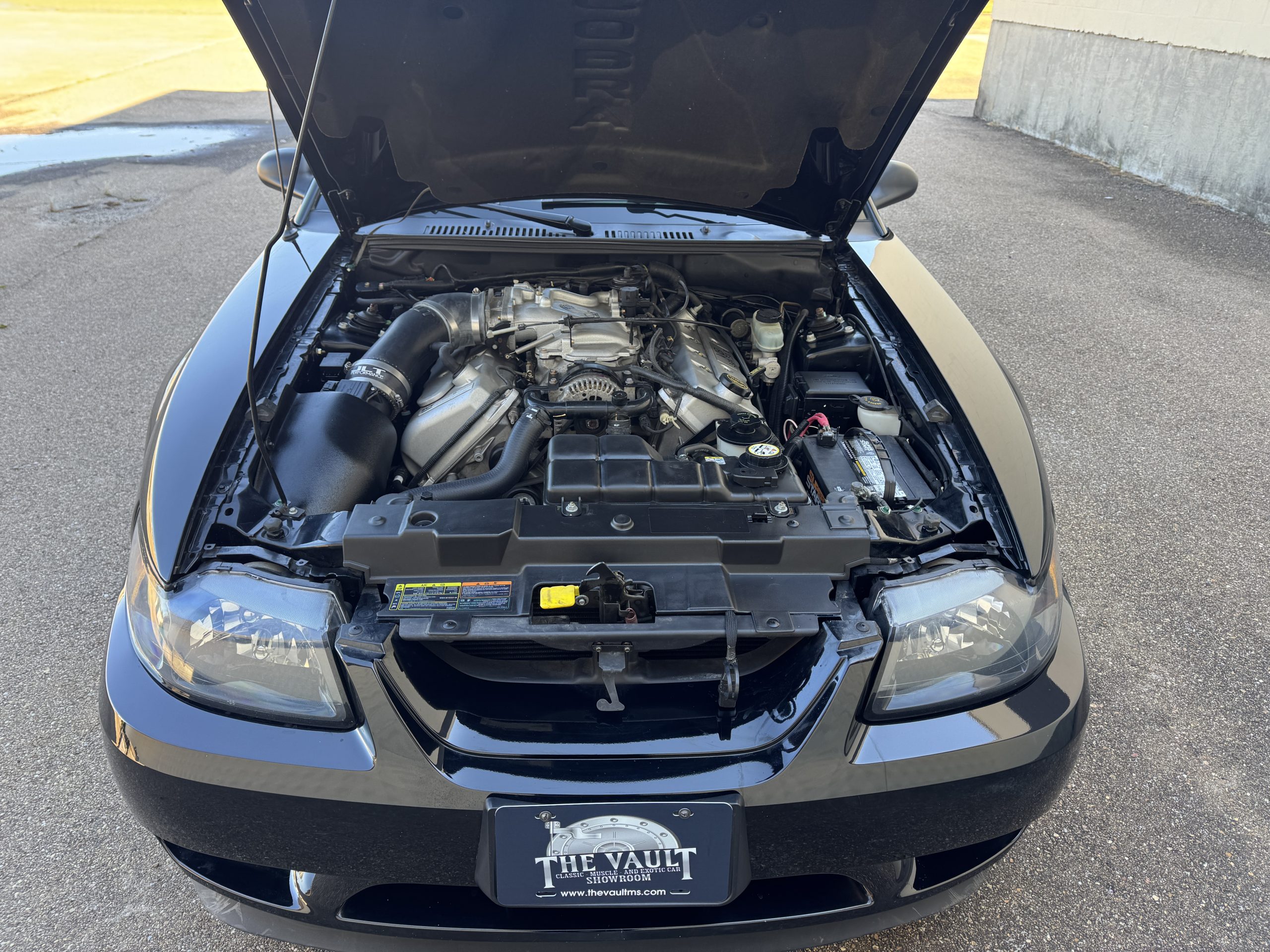 2001 Ford Mustang SVT Cobra