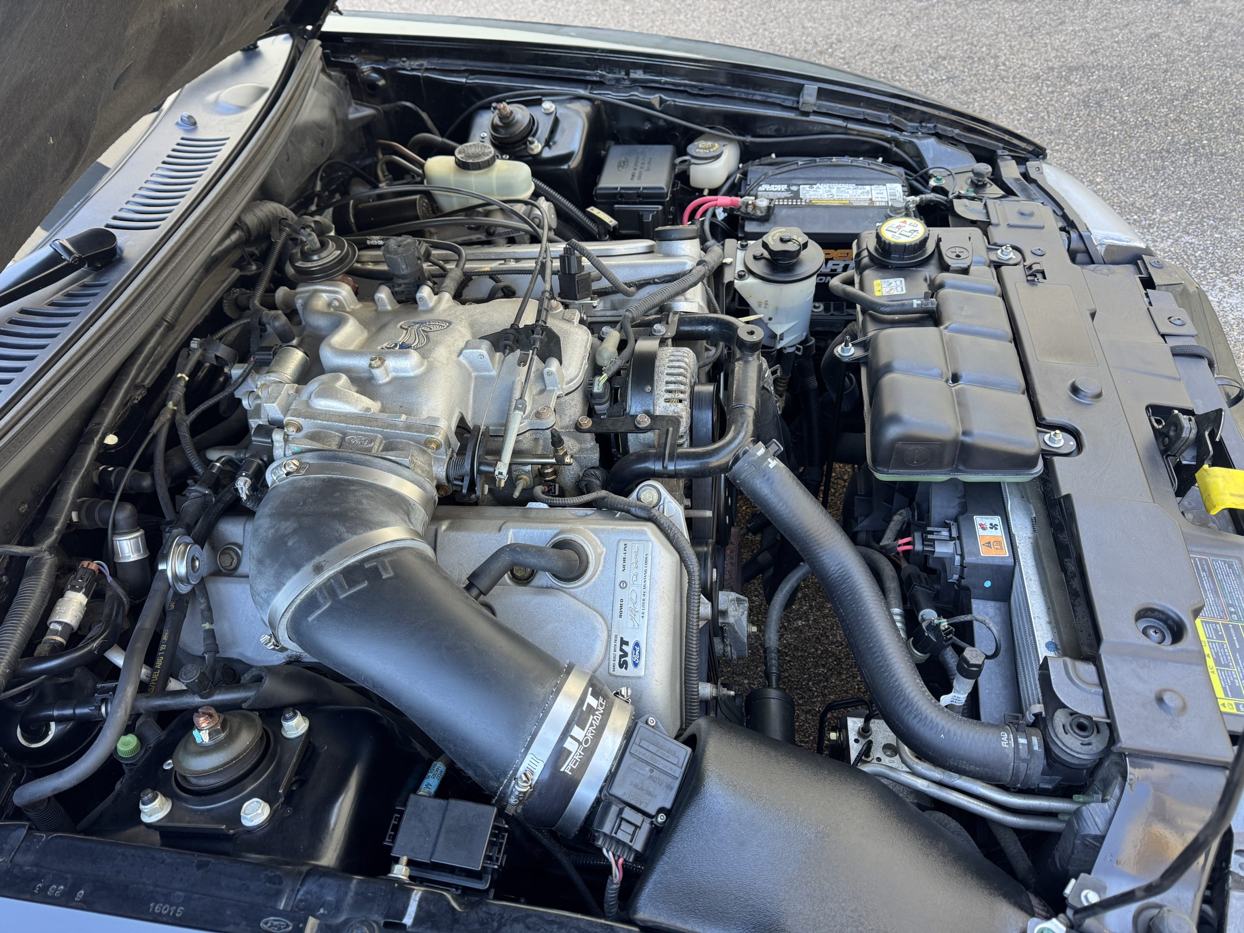 2001 Ford Mustang SVT Cobra