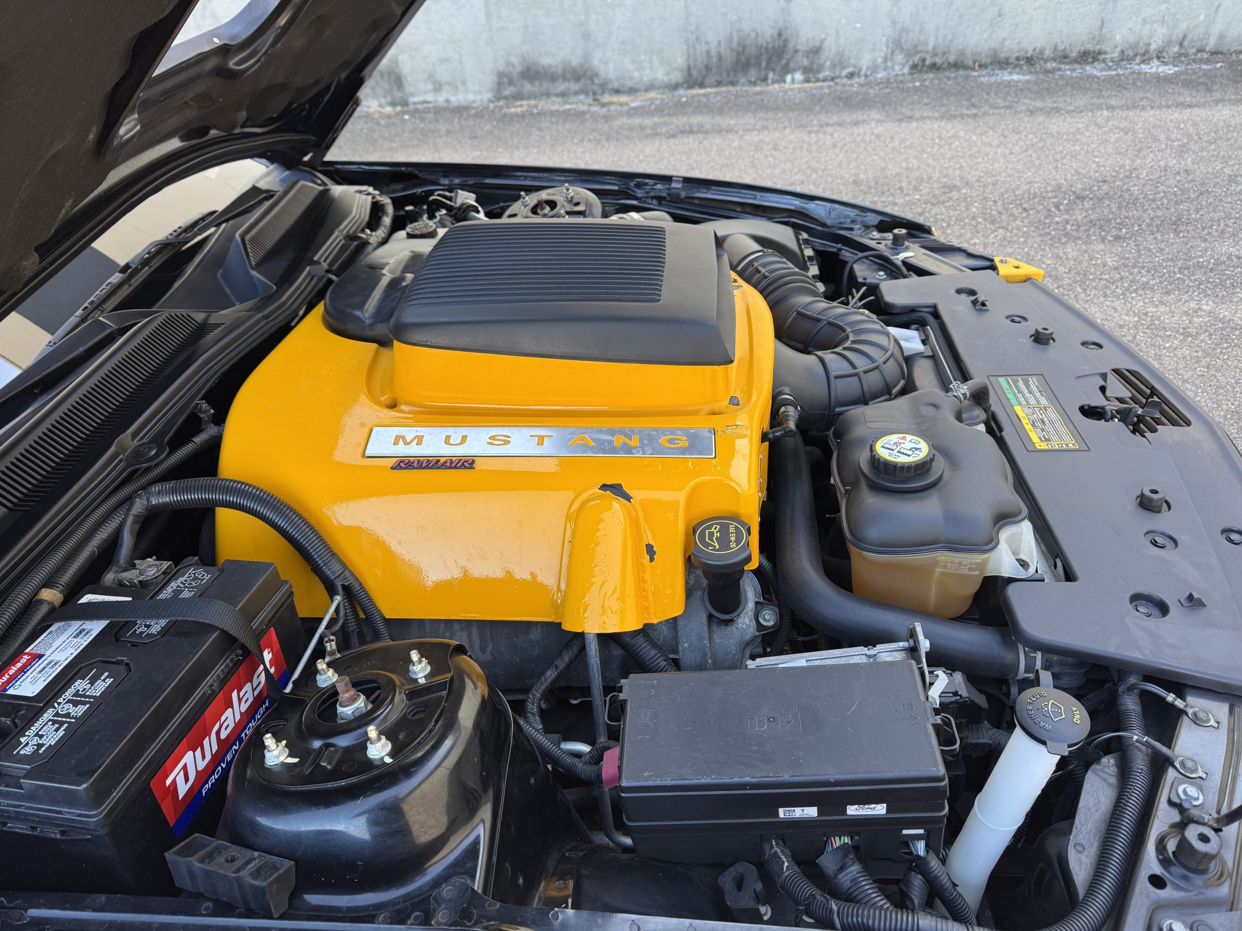 2008 Ford Mustang GTR