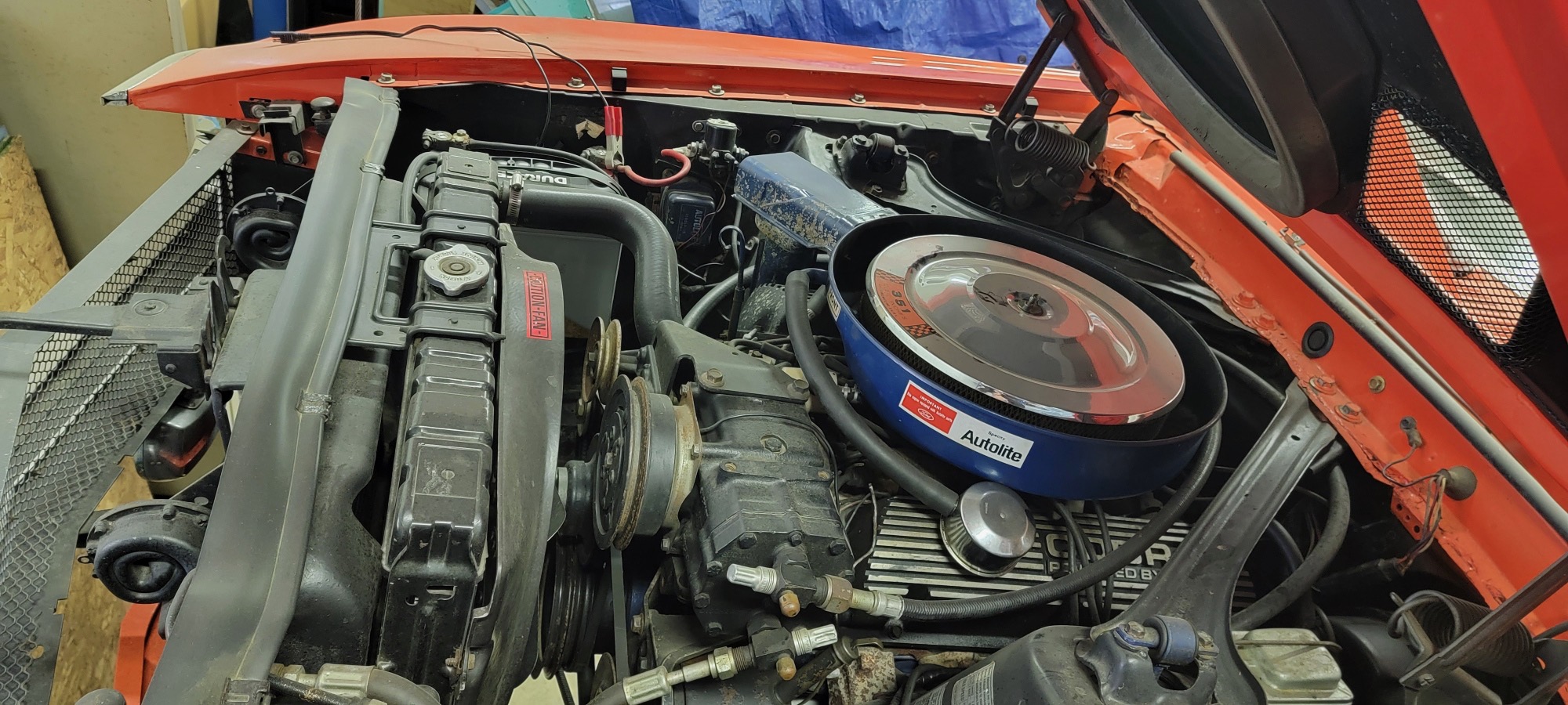 1969 Ford Mustang Shelby GT350