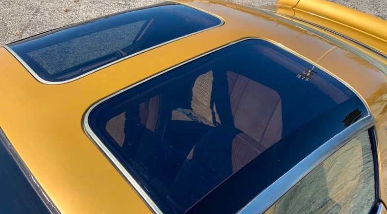 1979 Pontiac Firebird Trans Am