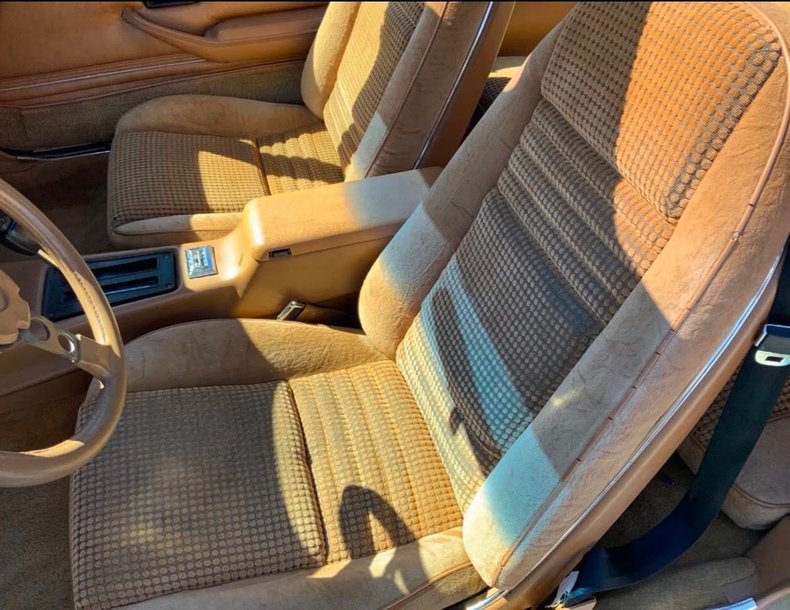 1979 Pontiac Firebird Trans Am