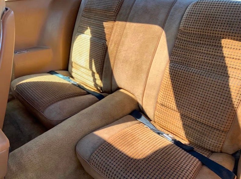 1979 Pontiac Firebird Trans Am