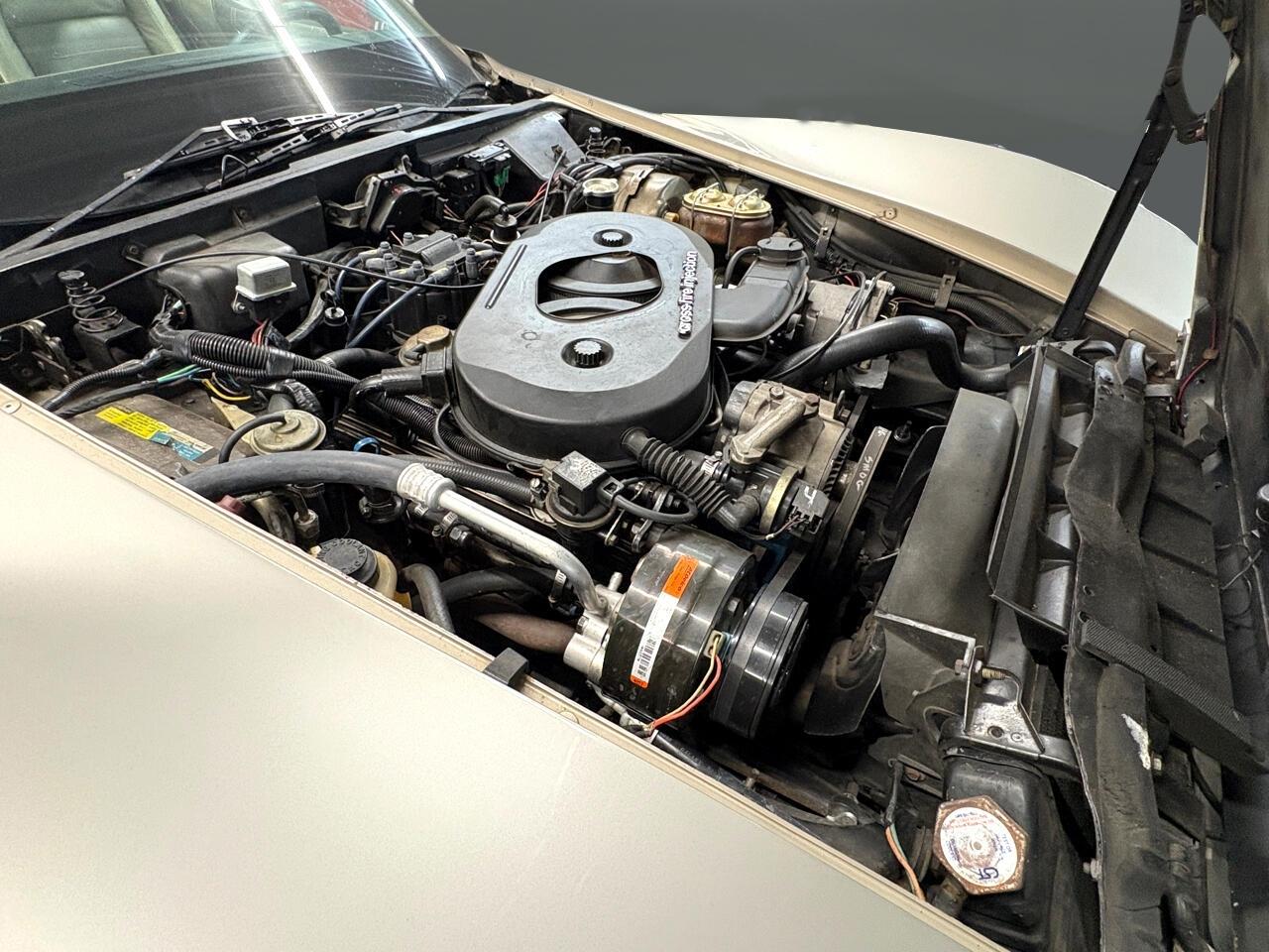 1982 Chevrolet Corvette Collector edition