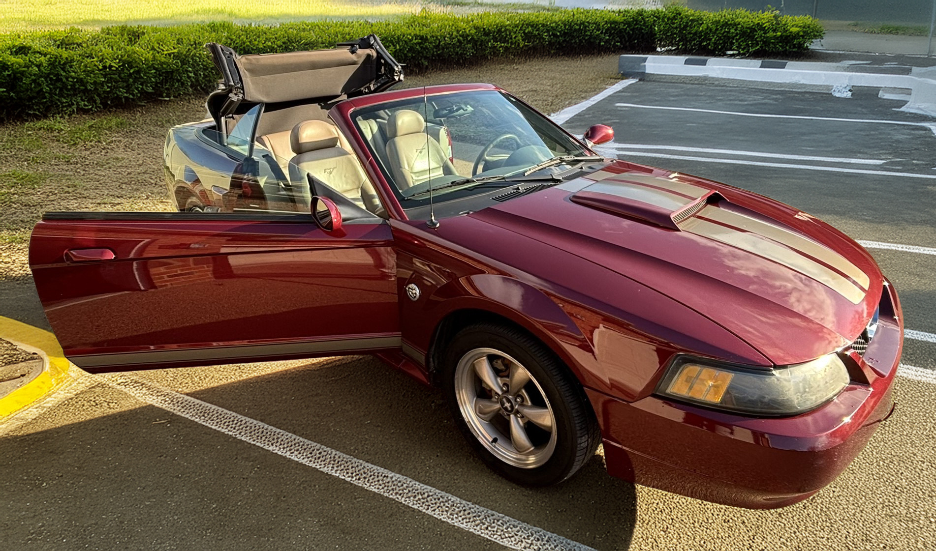 2004 Ford Mustang GT 40th Anniversary Convertible
